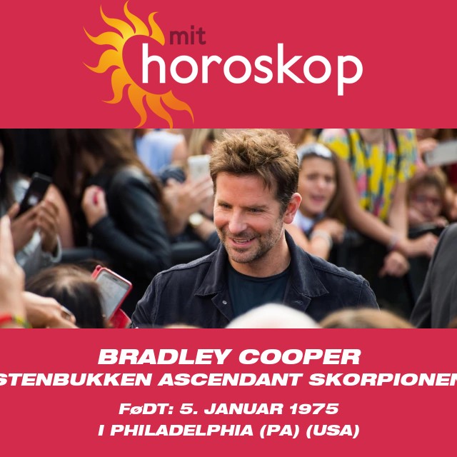 Bradley Cooper: Den Ambitiøse Stenbuk